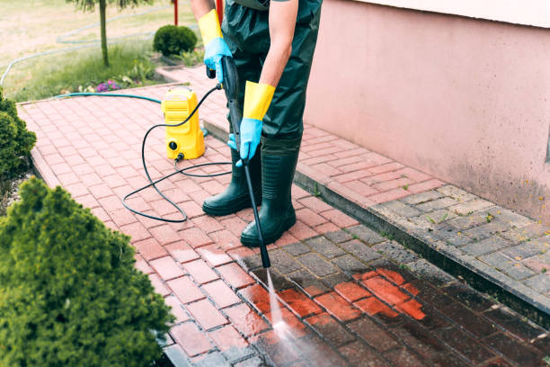 Local Pressure Washing Services in Renton, WA